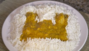 Curry Castle & Rice Moat - Version 3